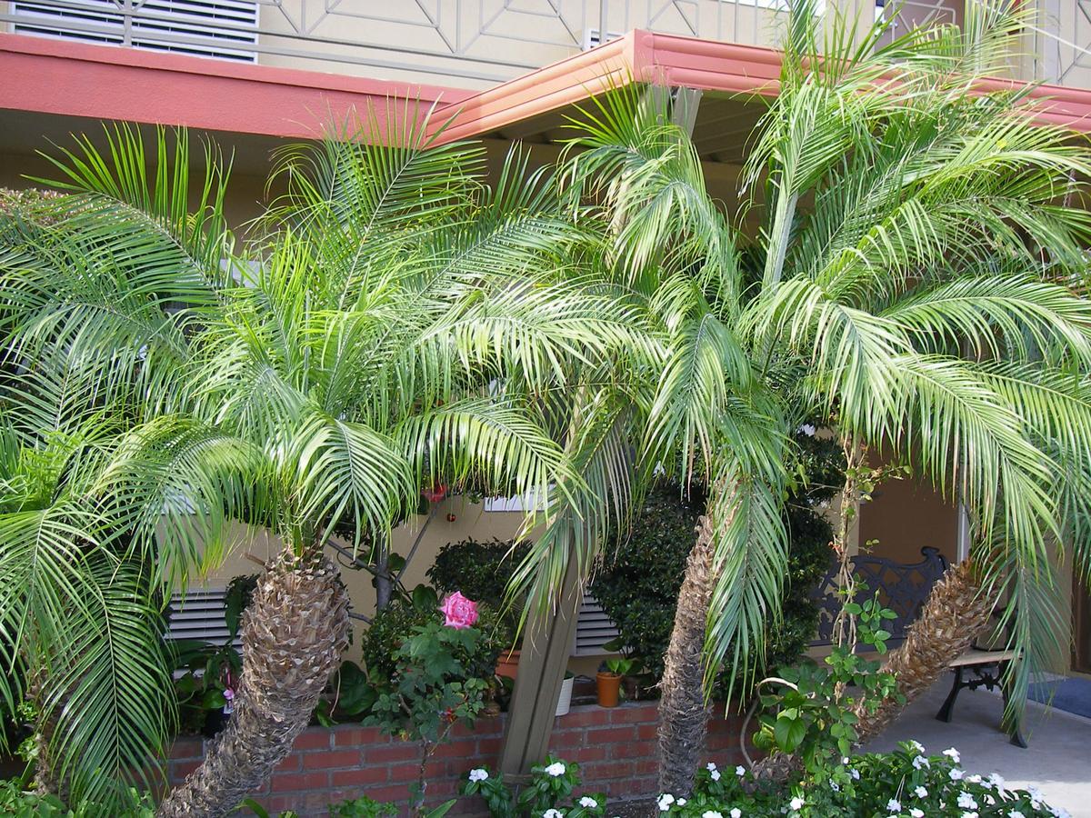 Fullerton Lodge Екстериор снимка